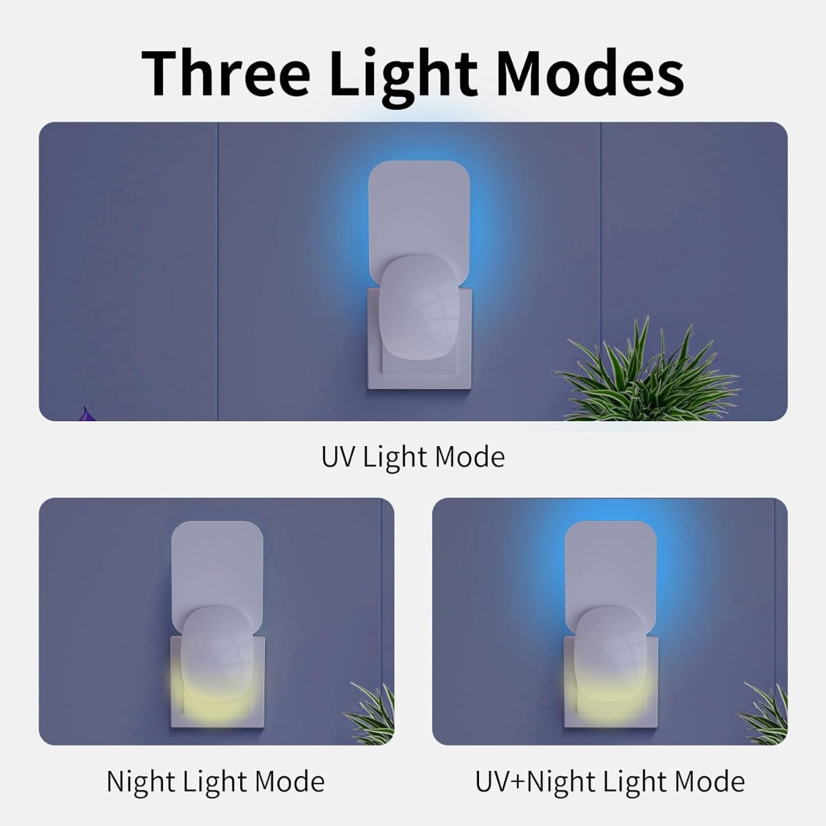 Trappola per Insetti da Interni